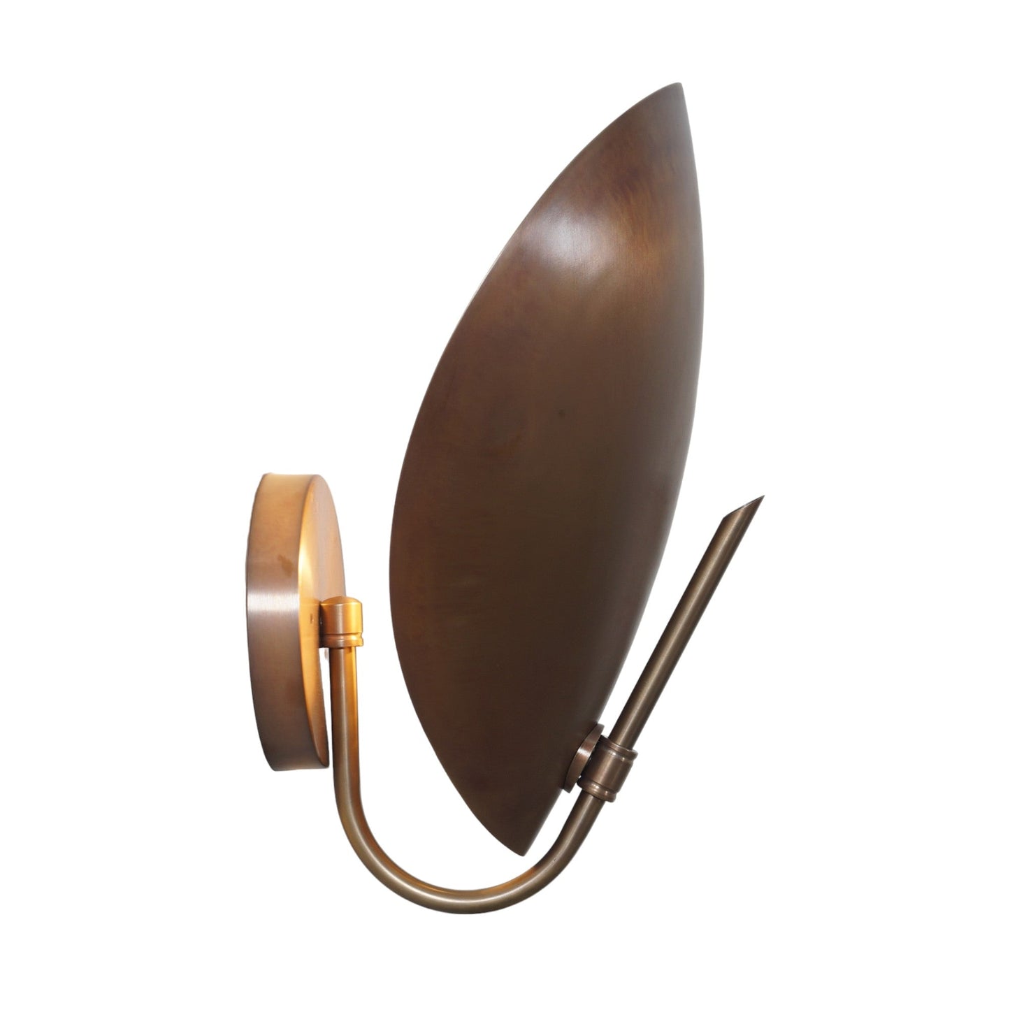 Small Turtle Wall Lamp