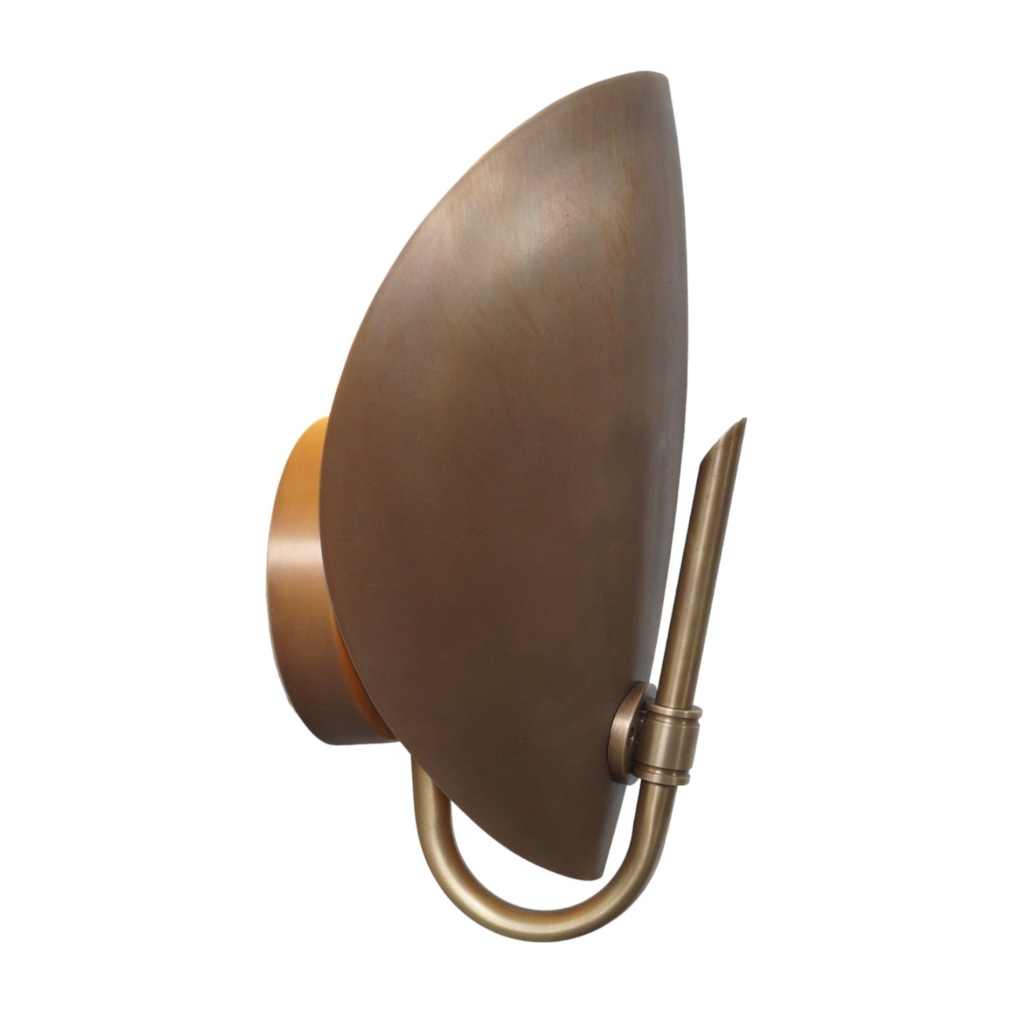 Small Turtle Wall Lamp