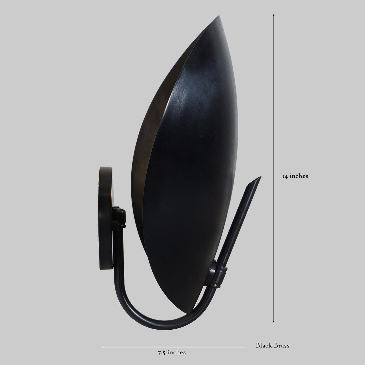 Turtle Wall Lamp