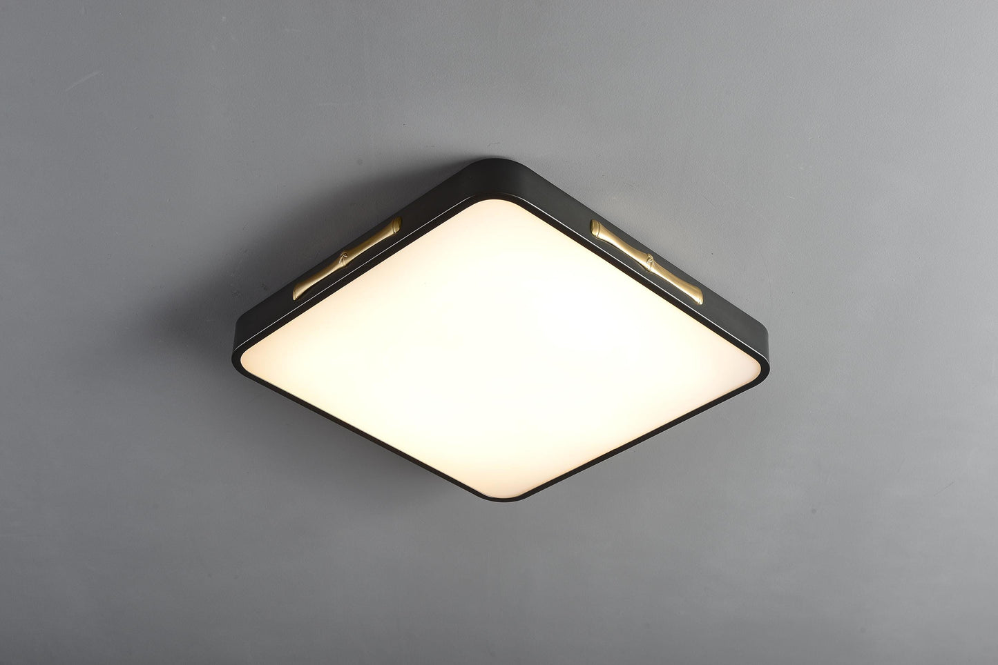 Trendy Copper and Black Lighting – Modern Acrylic Ceiling Lamp with Artistic Design for Contemporary Homes