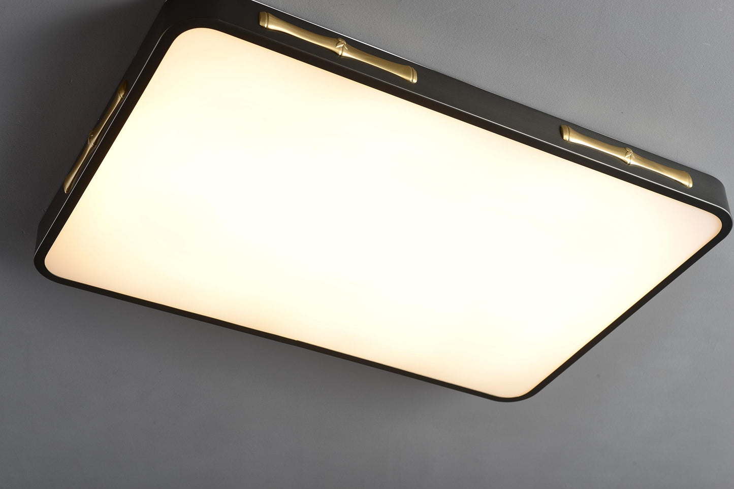 Fashionable Copper and Black Ceiling Fixture | Modern Acrylic Pendant Light