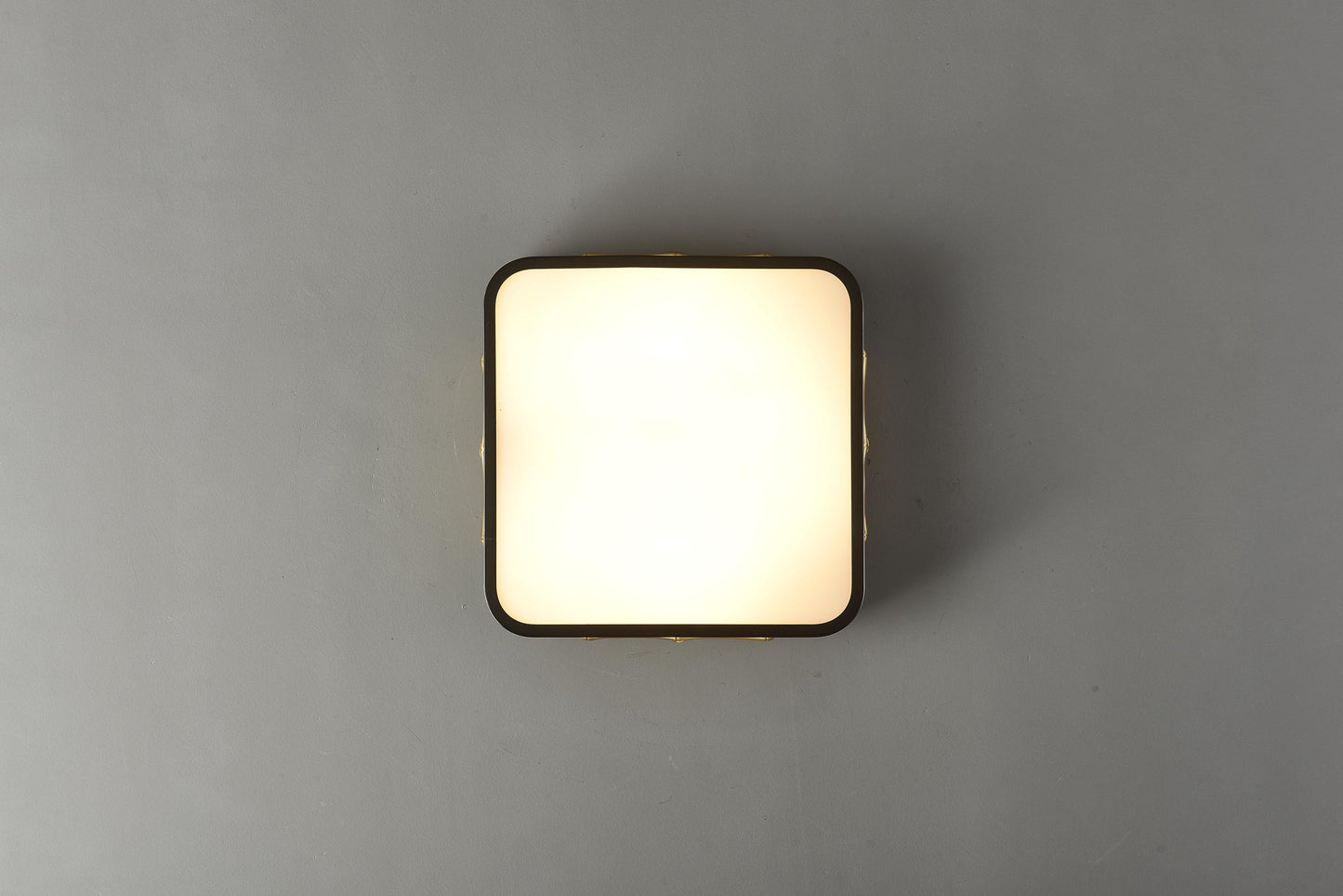 Unique Modern Ceiling Light – Copper and Black Fixture with Sleek Acrylic Pendant