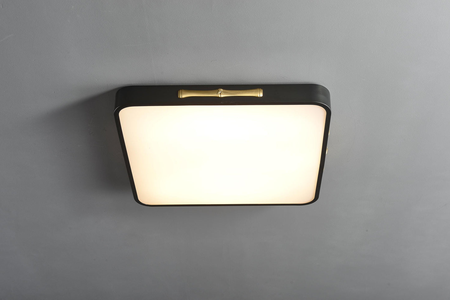 Trendy Copper and Black Lighting – Modern Acrylic Ceiling Lamp with Artistic Design for Contemporary Homes