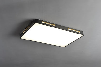 Fashionable Copper and Black Ceiling Fixture | Modern Acrylic Pendant Light