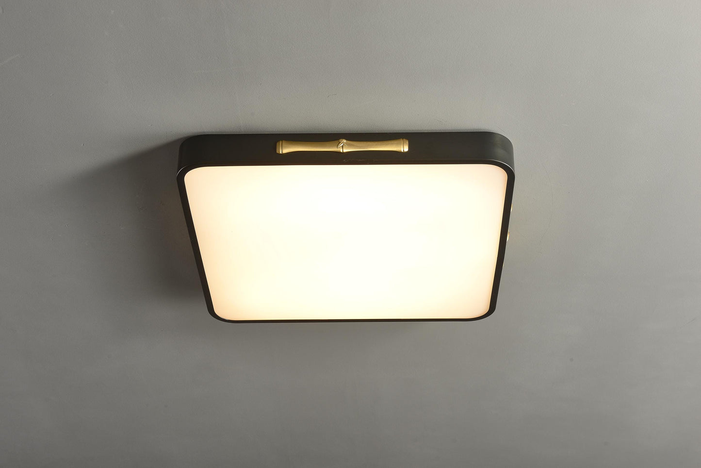 Trendy Copper and Black Lighting – Modern Acrylic Ceiling Lamp with Artistic Design for Contemporary Homes