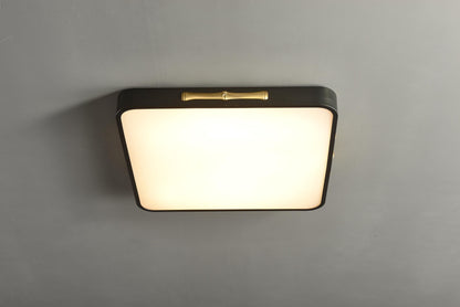 Trendy Copper and Black Lighting – Modern Acrylic Ceiling Lamp with Artistic Design for Contemporary Homes