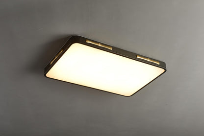 Fashionable Copper and Black Ceiling Fixture | Modern Acrylic Pendant Light
